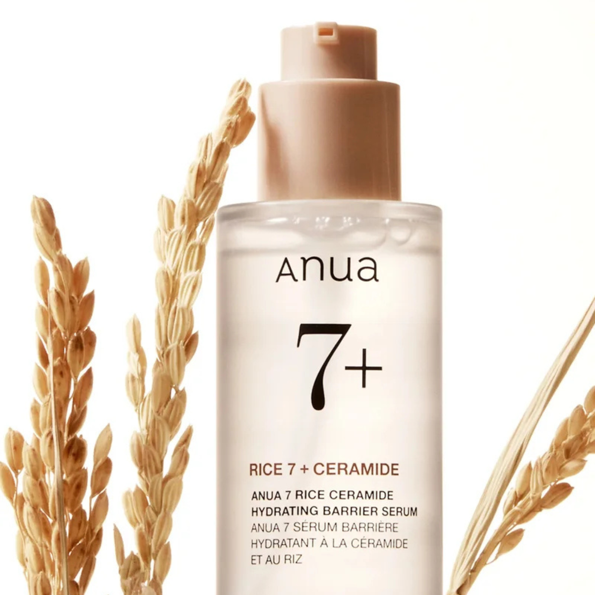 ANUA 7 Rice Ceramide Hydrating Barrier Serum