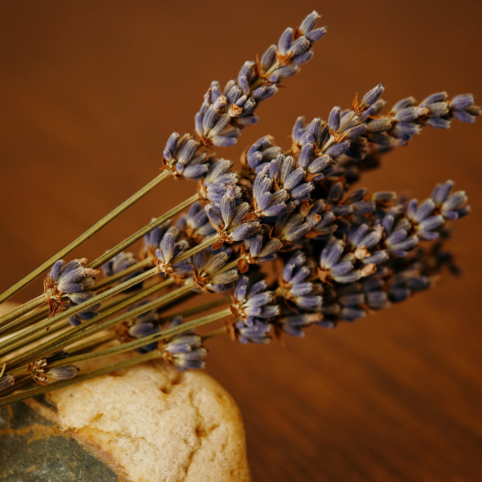 AROMATICA Ritual Hair Oil Lavender & Patchouli