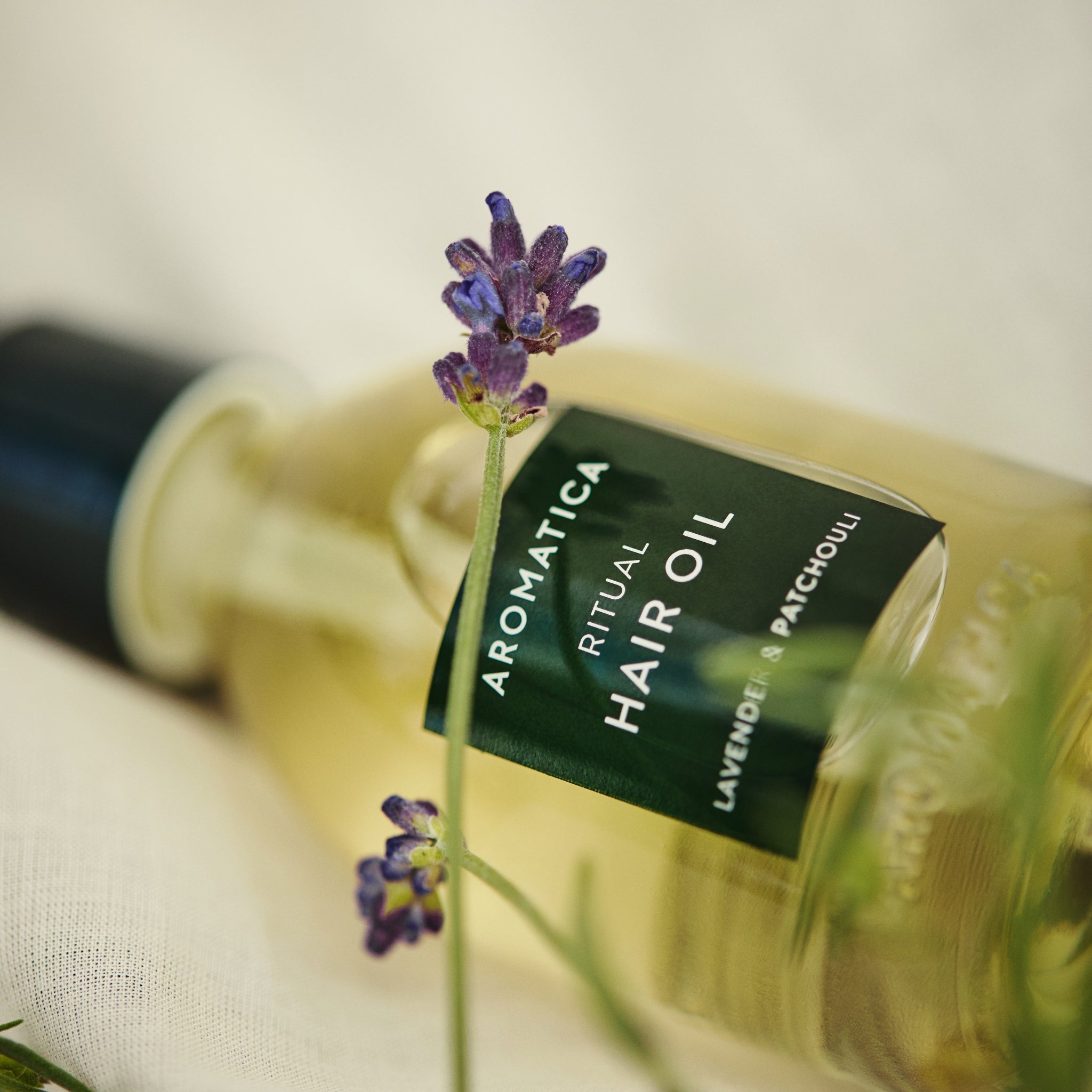 AROMATICA Ritual Hair Oil Lavender & Patchouli