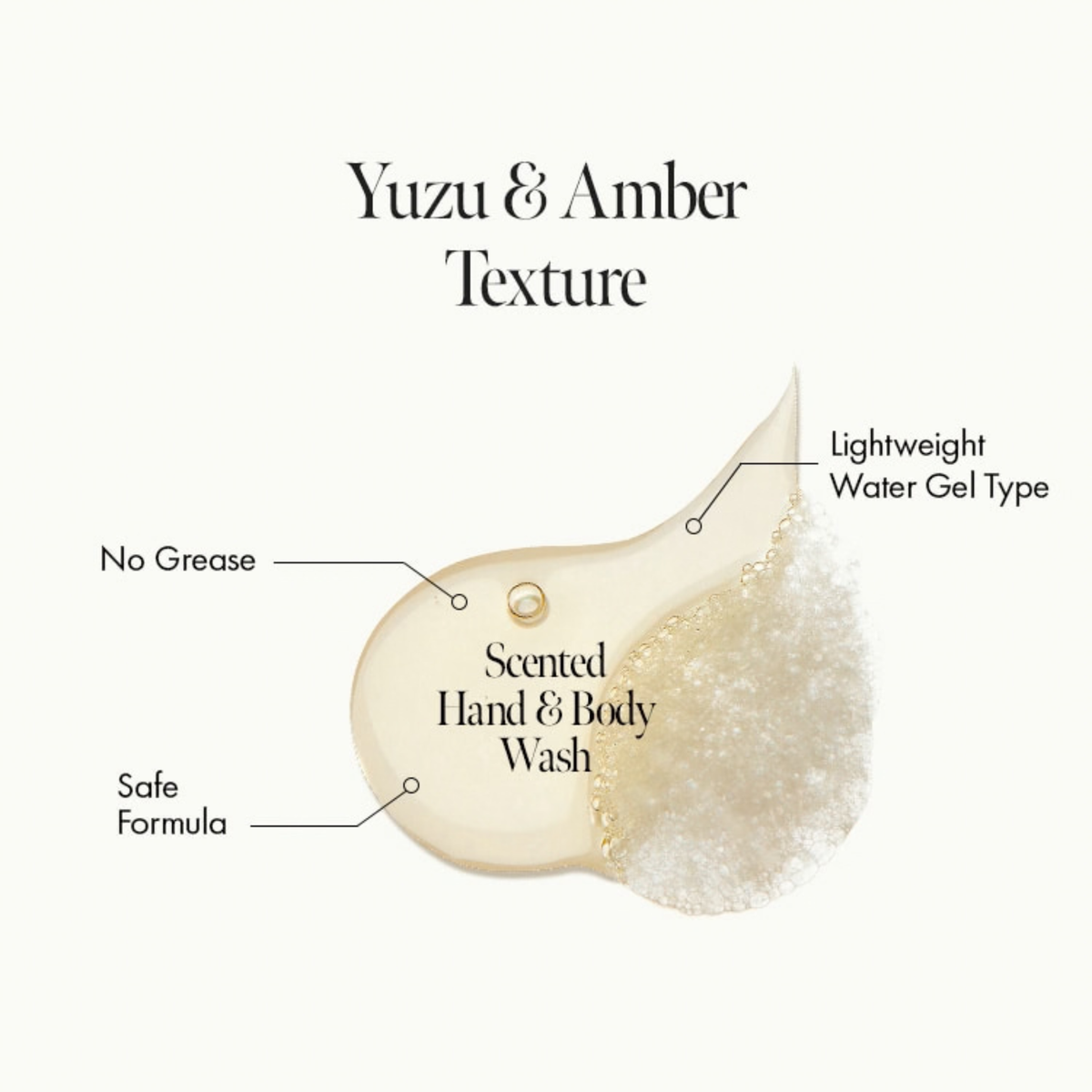 Anillo Amber 528 Scented Hand & Body Wash