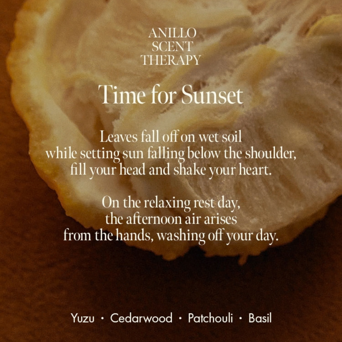 Anillo Amber 528 Scented Hand & Body Wash