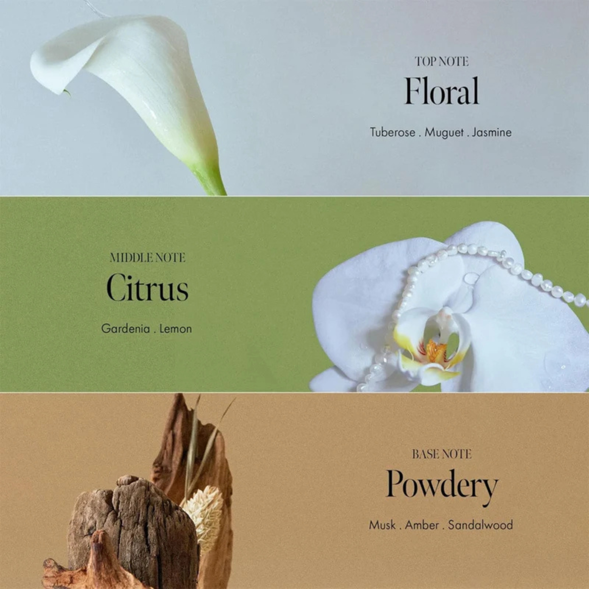 Anillo Gardenia Veil - Eau de Parfum
