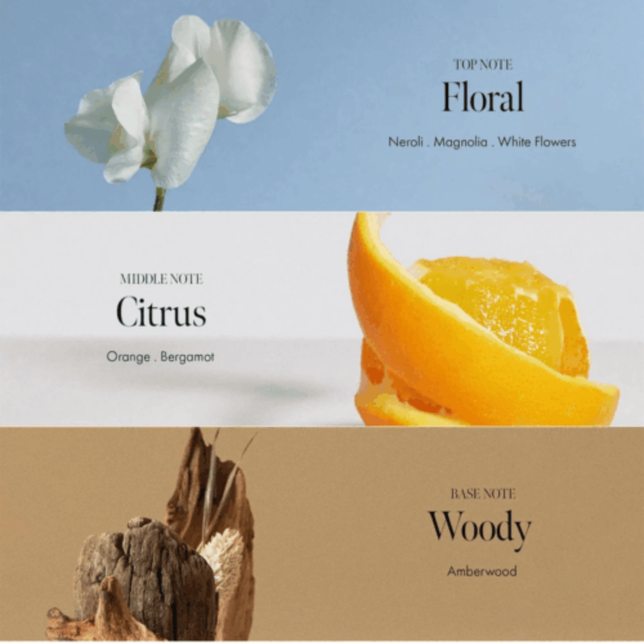 Anillo Neroli Wood - Eau de Parfum