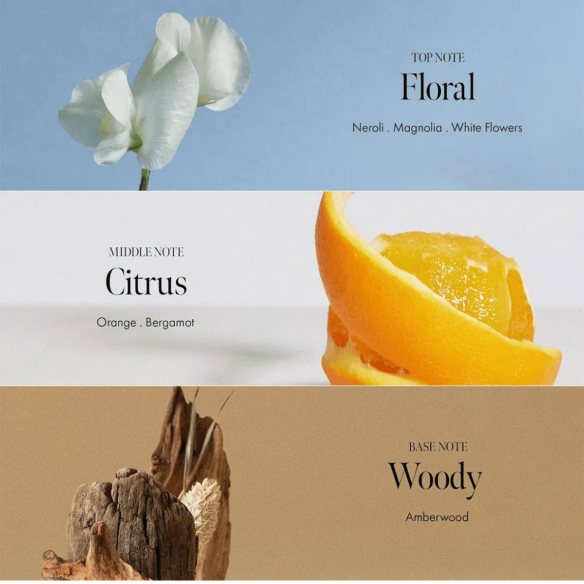 Anillo Neroli Wood Glow Hair Essence