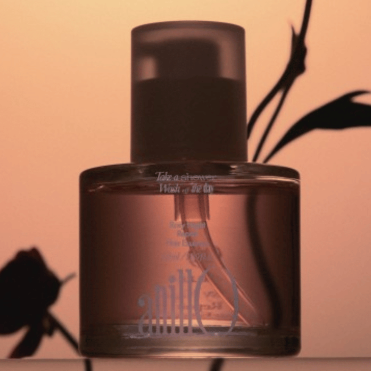 Anillo Rosy Night Repair Hair Essence