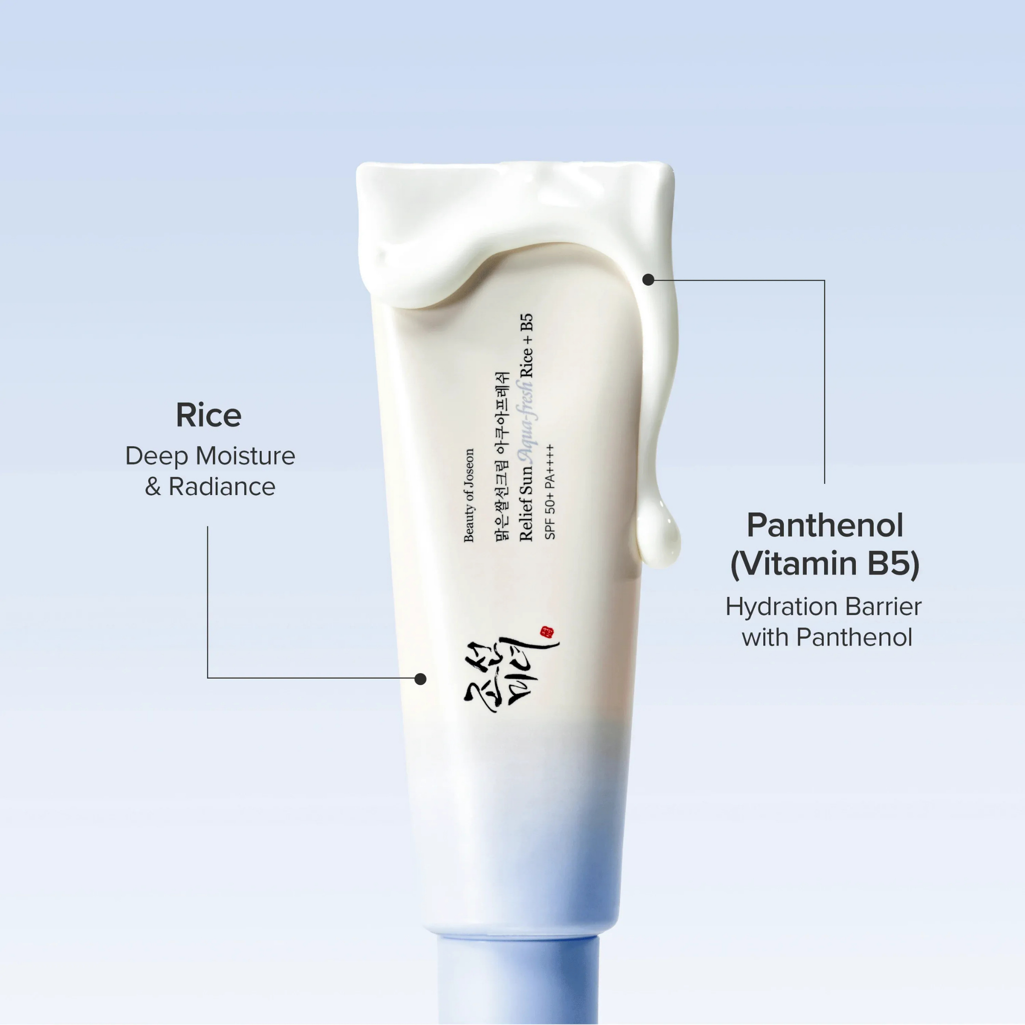 Beauty of Joseon Relief Sun Aqua Fresh