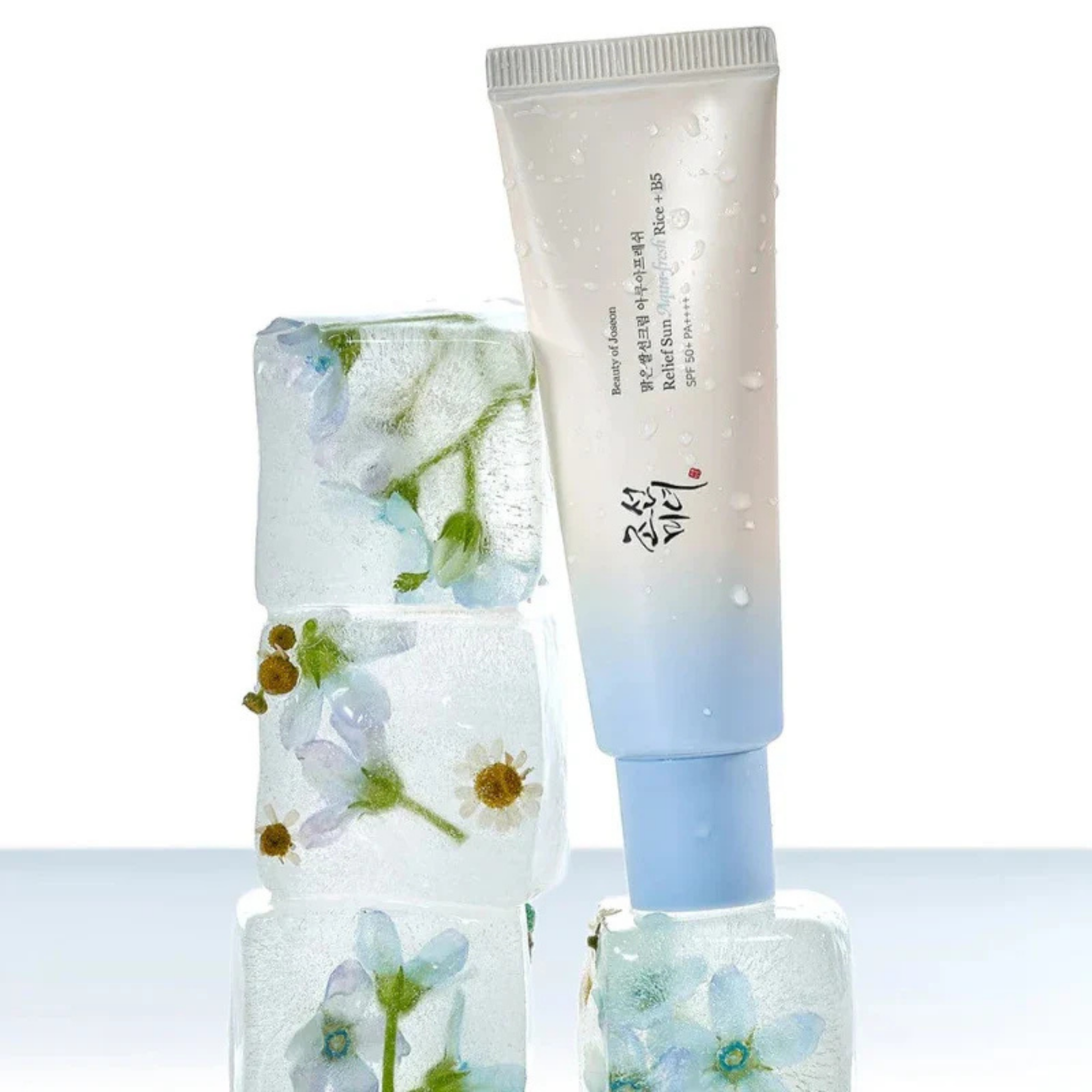 Beauty of Joseon Relief Sun Aqua Fresh