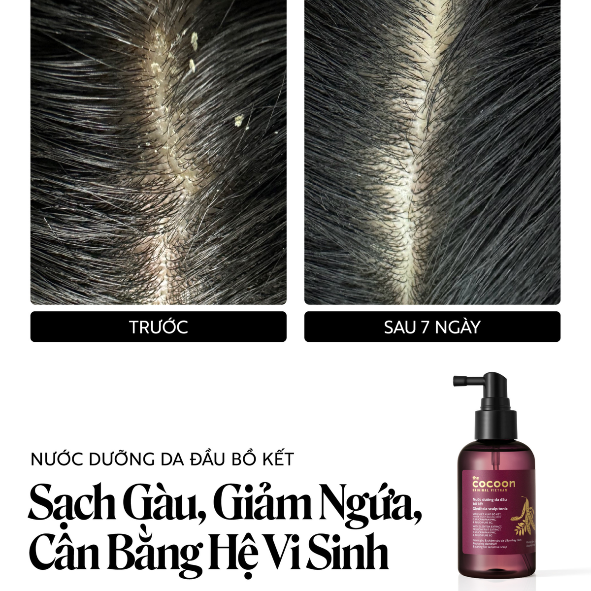 COCOON Gleditsia Scalp Tonic