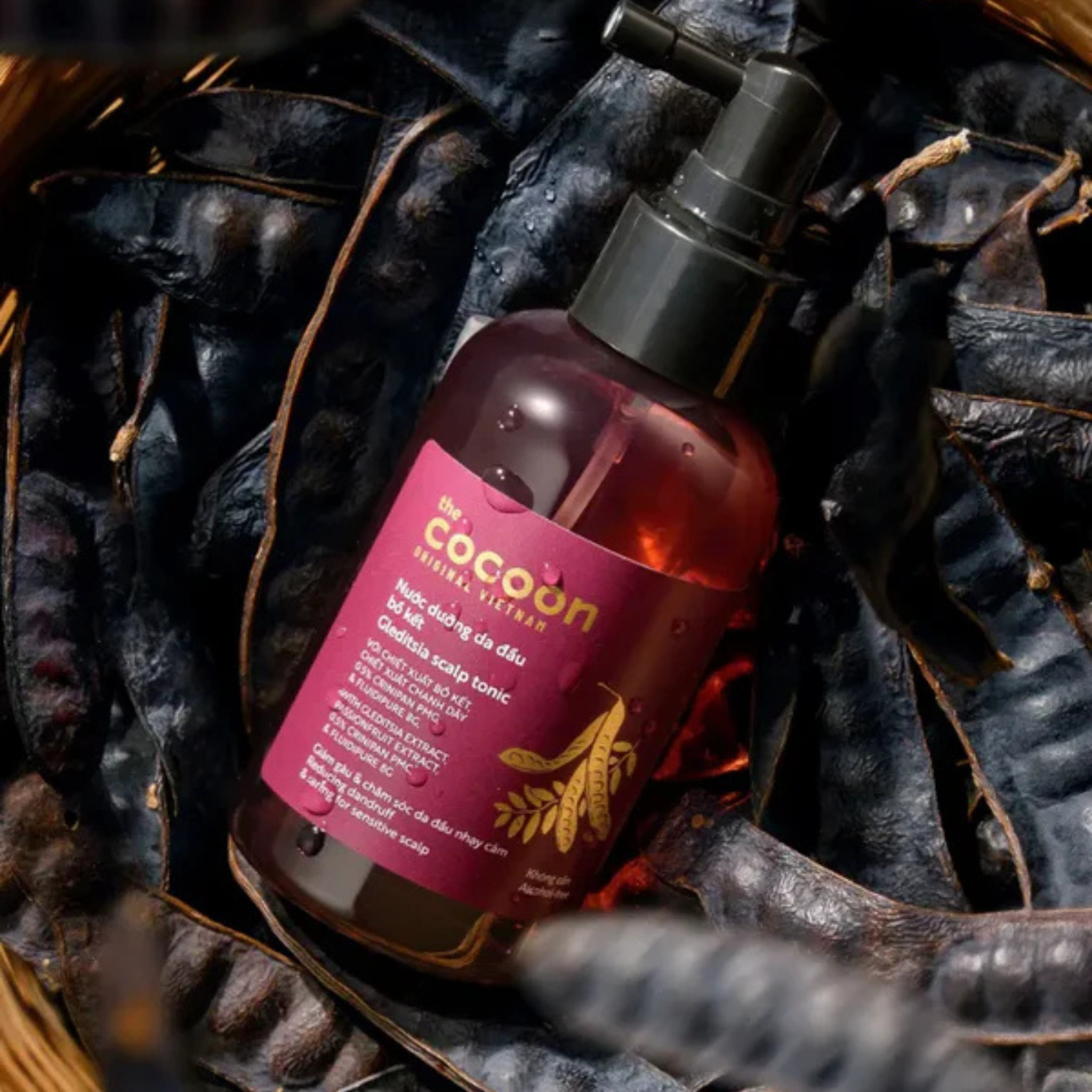 COCOON Gleditsia Scalp Tonic