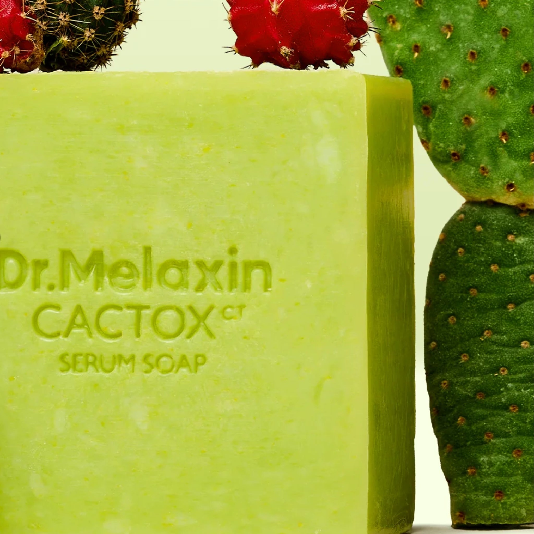 Dr.Melaxin Cactox Pore Relief Serum Soap